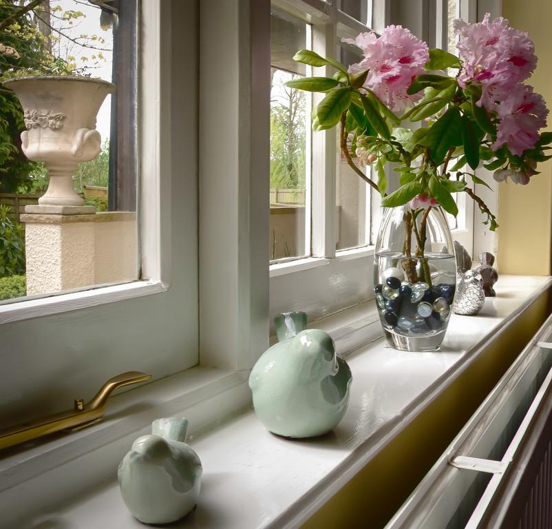 Tumbling Weir Hotel Ottery St Mary Exteriér fotografie