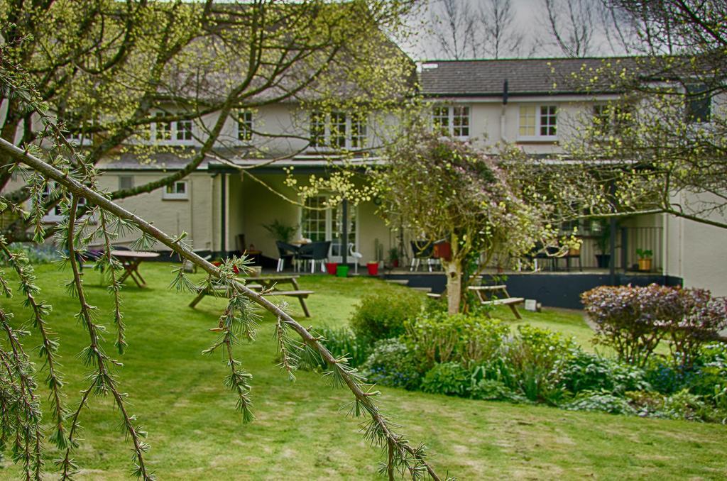 Tumbling Weir Hotel Ottery St Mary Exteriér fotografie
