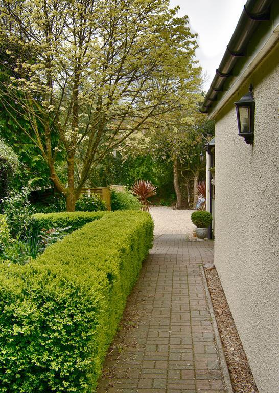 Tumbling Weir Hotel Ottery St Mary Exteriér fotografie