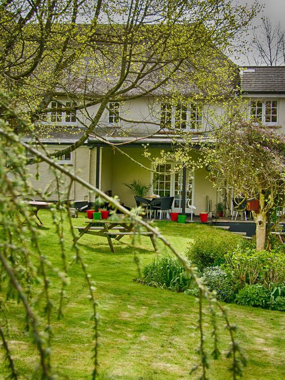 Tumbling Weir Hotel Ottery St Mary Exteriér fotografie
