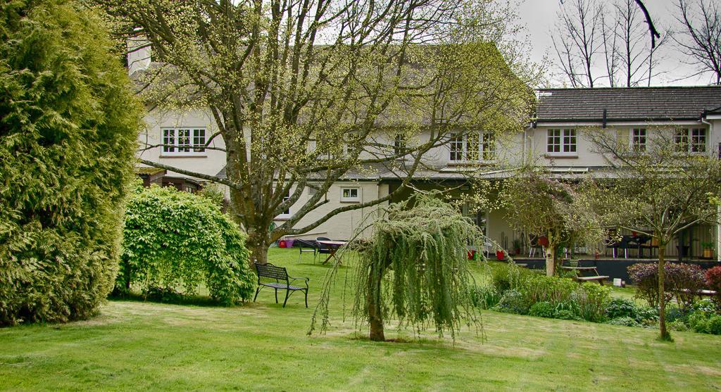 Tumbling Weir Hotel Ottery St Mary Exteriér fotografie